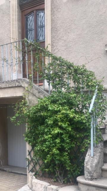 ארל Chez Catherine מראה חיצוני תמונה